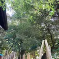 音無神社の写真_587536