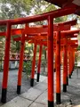 來宮神社の写真_587569