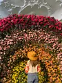 ハウステンボスの写真_587810