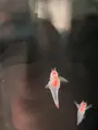 鳥羽水族館の写真_588140