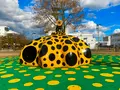 十和田市現代美術館アート広場の写真_588767