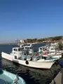 日間賀島の写真_588883