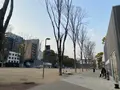 久屋大通公園（Hisaya-odori Park）の写真_589035