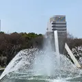 白川公園の写真_589065