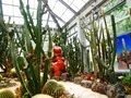 ぐんまフラワーパークの写真_589121