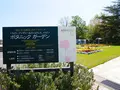 アンディ＆ウィリアムスボタニックガーデンの写真_589126