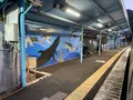 太地町立くじらの博物館の写真_590447