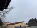 さくらの山公園の写真_591161