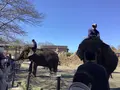 アニマルワンダーリゾウト（市原ぞうの国）の写真_591200