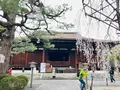千本釈迦堂（大報恩寺）の写真_592060