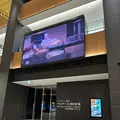 ベルサールの写真_592757