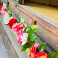 霊鑑寺の写真_592810