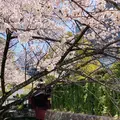 高瀬川一之船入の写真_592898