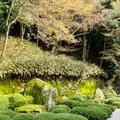 知恩院の写真_592902