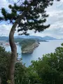 堂ケ島の写真_592939