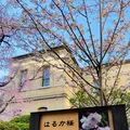 京都府庁 旧本館の写真_593163