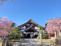 大本山 妙顯寺の写真_593172