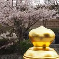 鶴岡八幡宮の写真_594367