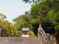鶴岡八幡宮の写真_594371