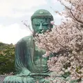 鎌倉大仏（高徳院）の写真_594380