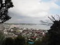 長谷寺の写真_594407