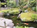 長谷寺の写真_594410