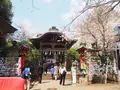 江島神社 辺津宮の写真_594561