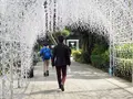 江の島サムエル・コッキング苑の写真_594584