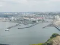江の島シーキャンドルの写真_594587