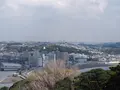 江の島シーキャンドルの写真_594590