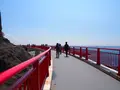 江の島岩屋の写真_594638