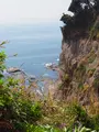 江の島岩屋の写真_594647