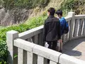 江の島岩屋の写真_594648
