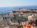 稚児ヶ淵の写真_594683