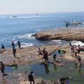稚児ヶ淵の写真_594684