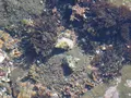 稚児ヶ淵の写真_594685