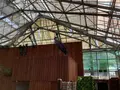 掛川花鳥園の写真_594721