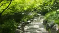 東福寺の写真_595196