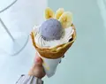 TUTTOの写真_596083