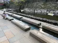 荒湯の写真_596943