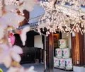 菊正宗酒造記念館の写真_597946