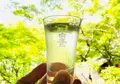 白鷹禄水苑の写真_598301