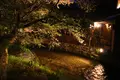 巽橋の写真_599157