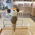 HOHO HOJICHA 焙茶専門店の写真_599795