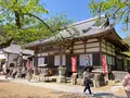 白毫寺の写真_600011