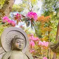 白毫寺の写真_600015
