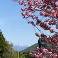信濃比叡廣拯院の写真_600875