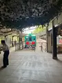 極楽橋の写真_601011