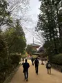 千手院橋（東）バス停の写真_601034