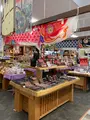 亀戸梅屋敷の写真_601217